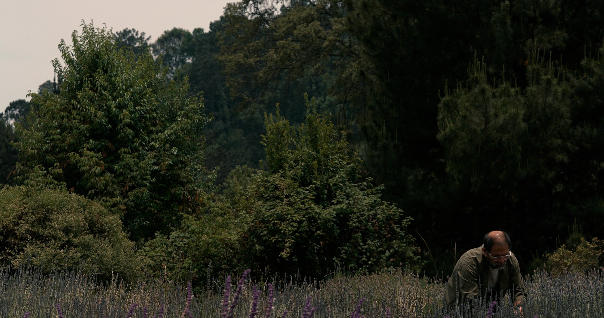 Apartamento Magazine - Casa O, Enrique Olvera