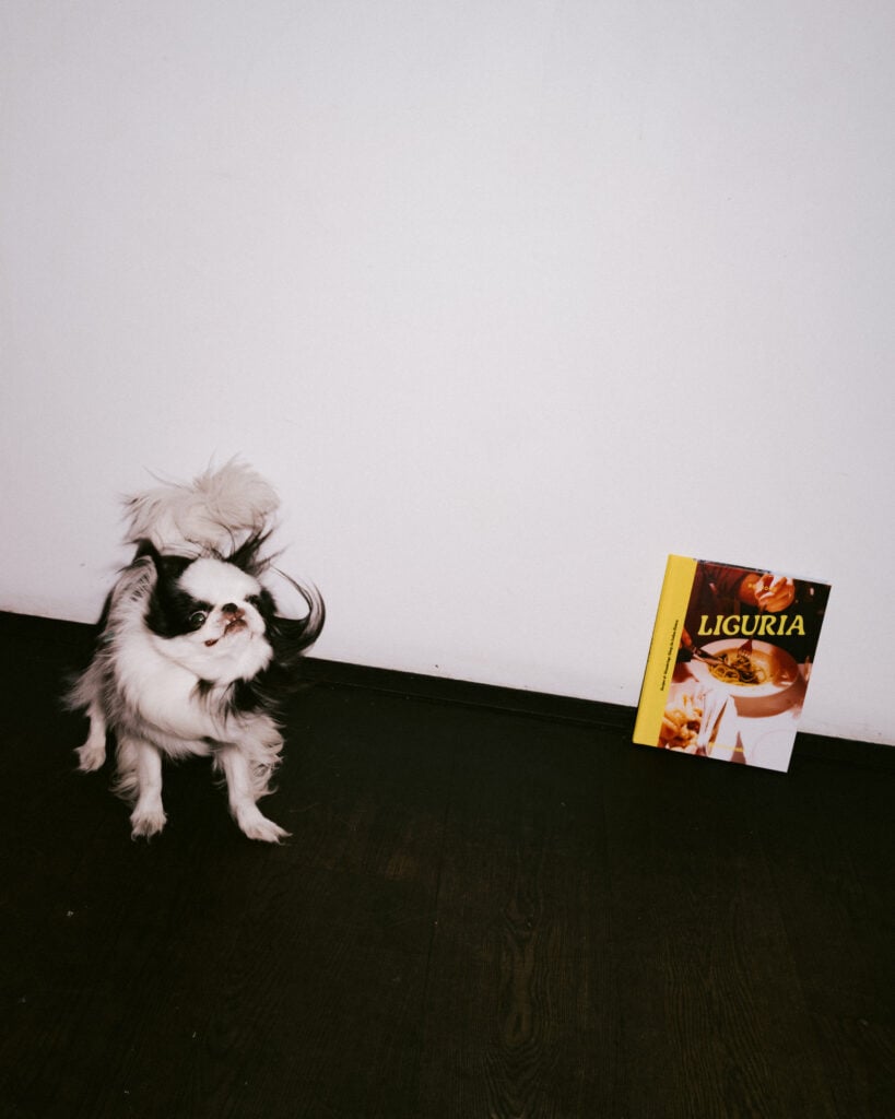 Apartamento Magazine - LIGURIA X Andy Baraghani