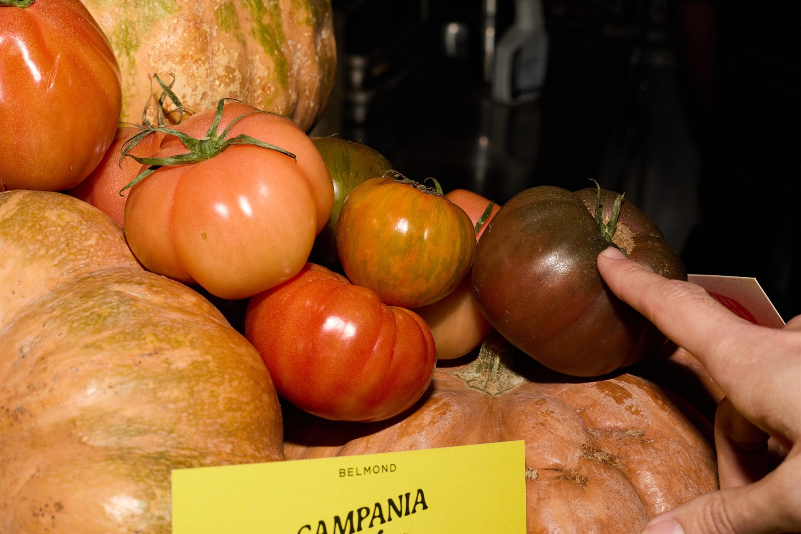 Apartamento Magazine - Lea Colombo Book Signing </br>in Cape Town