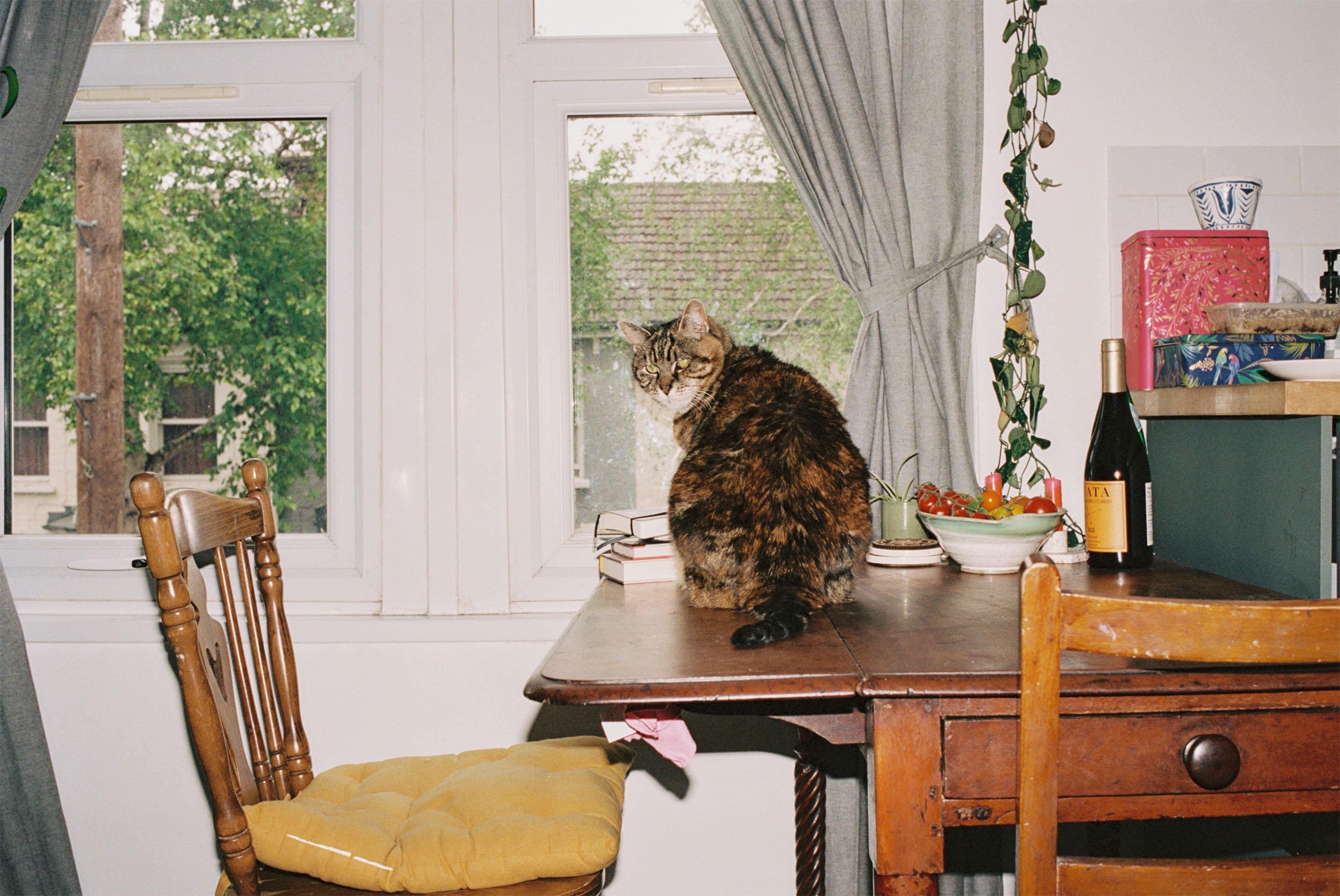 Apartamento Magazine - A conversation with Anna Sulan Masing