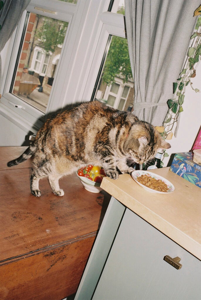 Apartamento Magazine - A conversation with Anna Sulan Masing