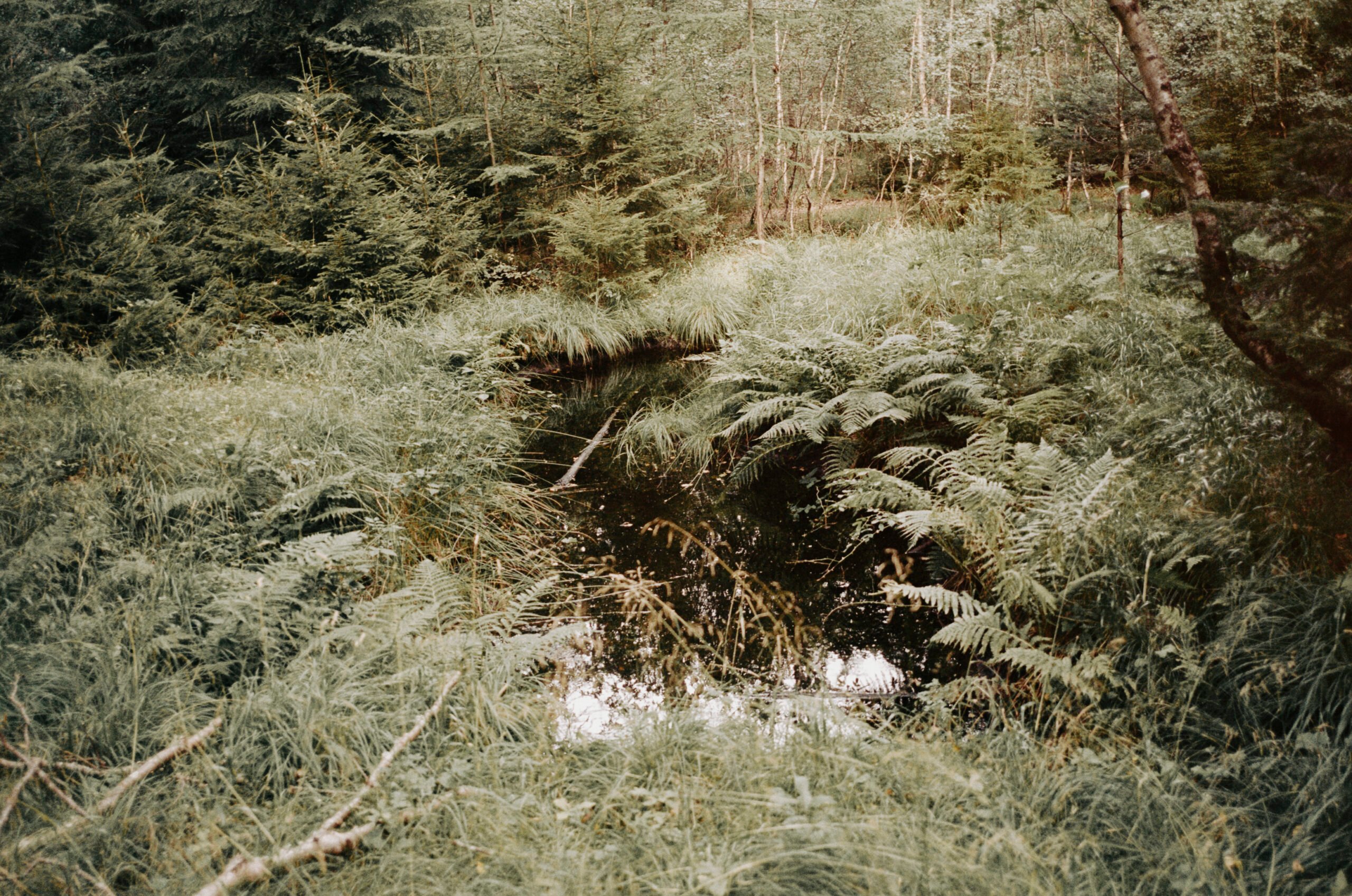 Apartamento Magazine - Frederik Bille Brahe <p> Chapter 2: Copenhagen, Denmark