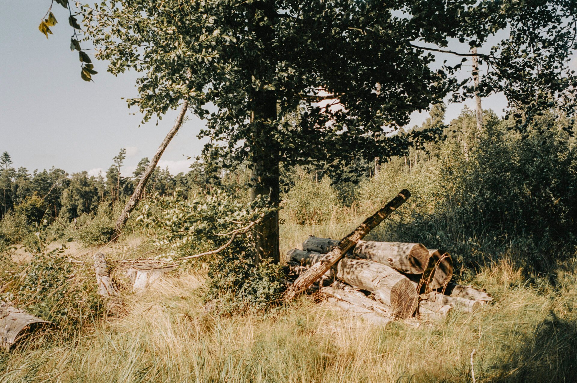 Frederik Bille Brahe <p> Chapter 2: Copenhagen, Denmark | Apartamento Magazine