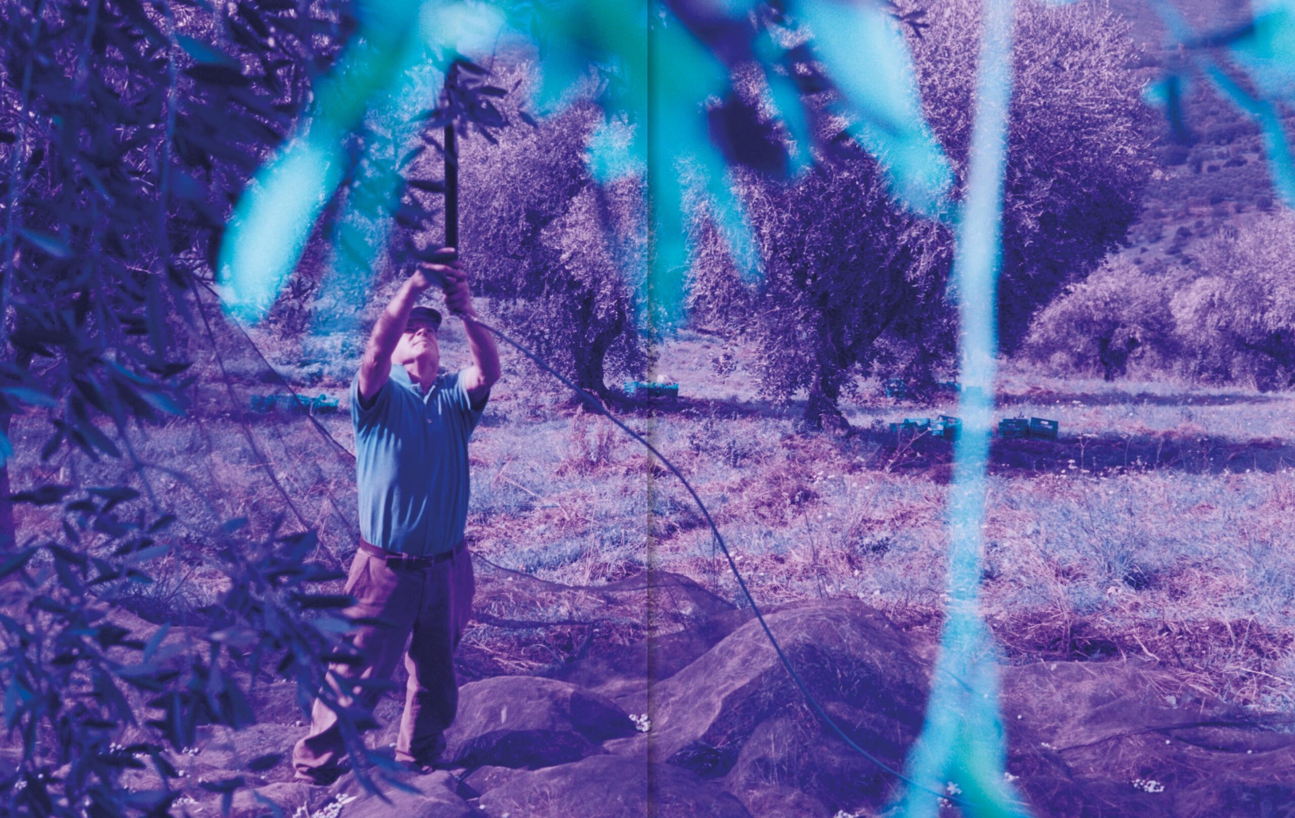 Apartamento Magazine - Apartamento Bookshop <p> Milan Design Week 2025