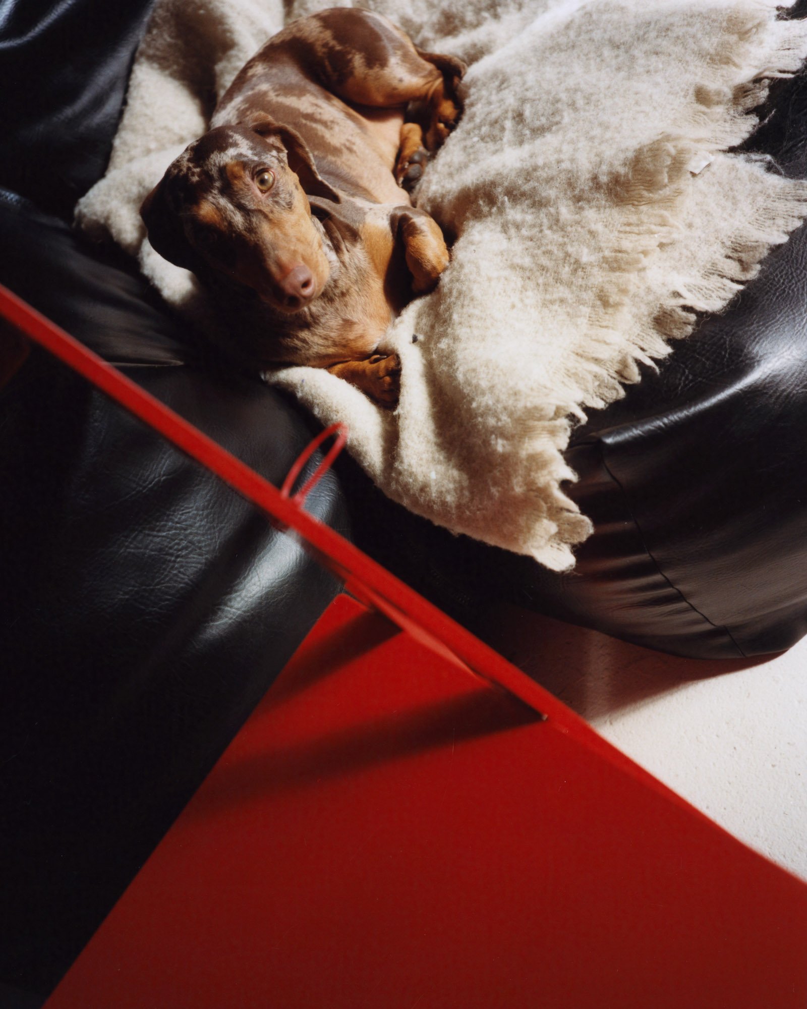 Apartamento Magazine - Deaton Chris Anthony