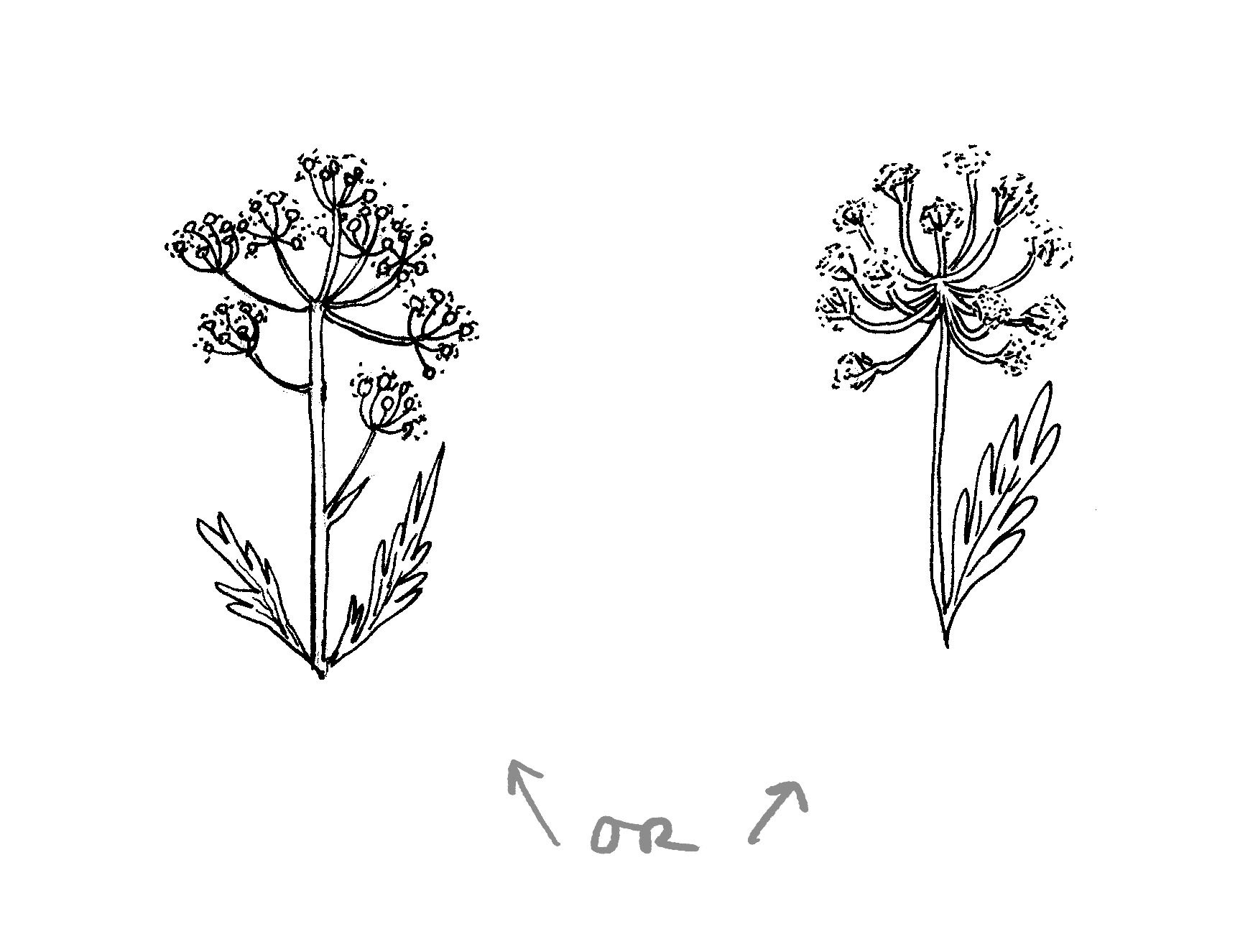 Apartamento Magazine - A conversation with Joana Avillez