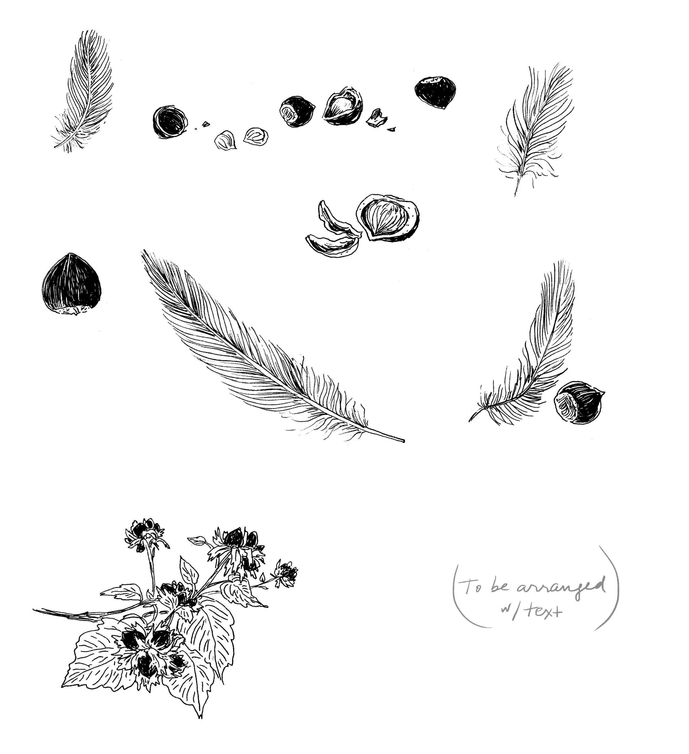 Apartamento Magazine - A conversation with Joana Avillez