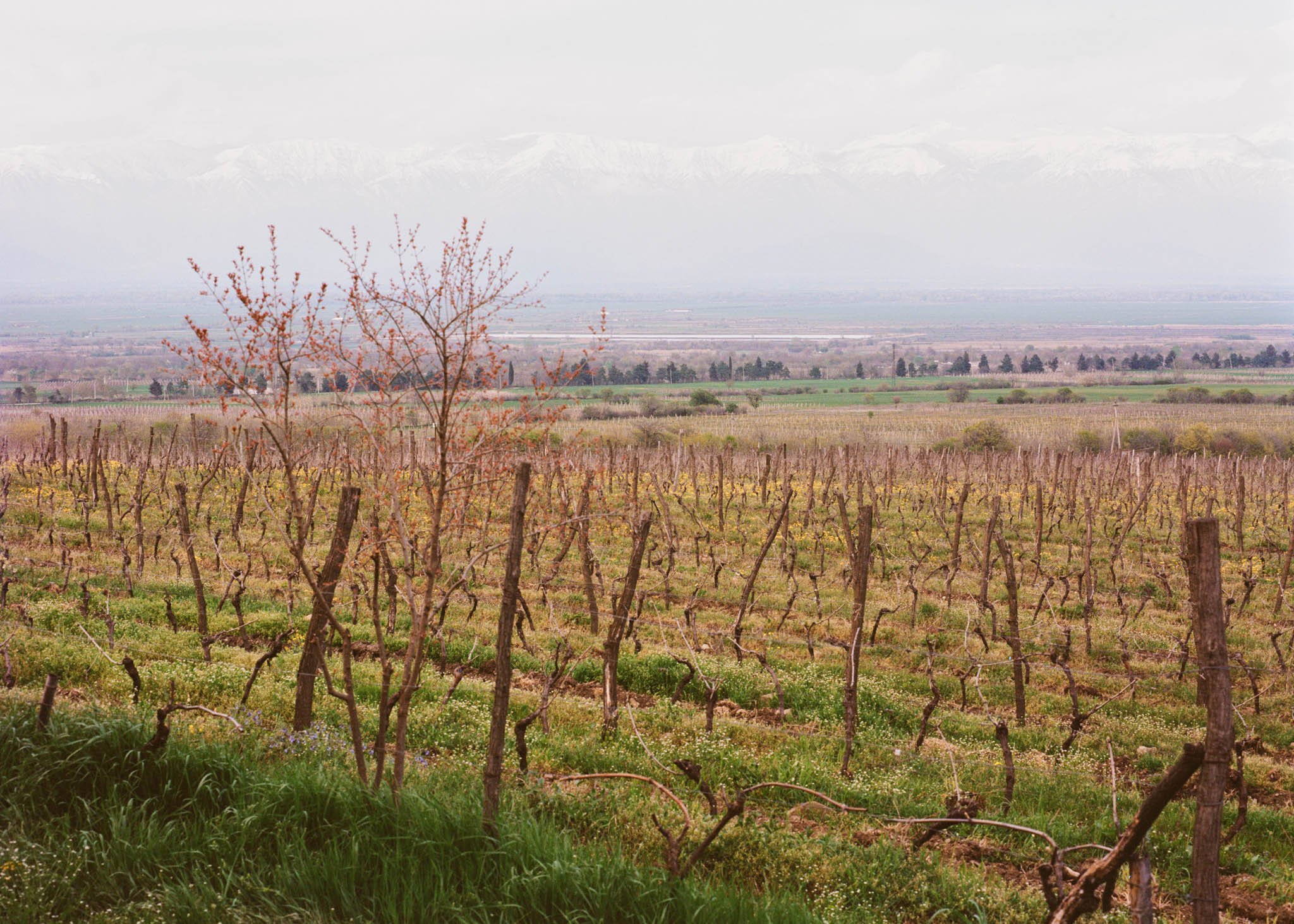 Apartamento Magazine - John Wurdeman