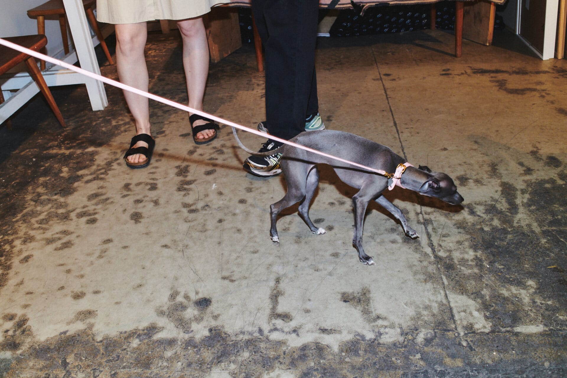 Apartamento Magazine - Apartamento in Paris