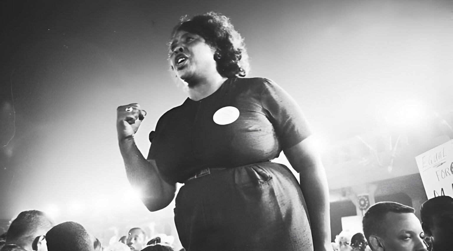 Fannie Lou Hamer: A Powerful Voice in the Fight for Civil and Women’s ...